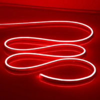 Rope Lights Rood 5 Meter