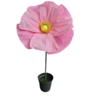 Klaproos licht roze XL