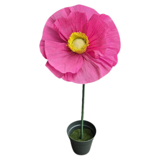 Klaproos donker roze XL