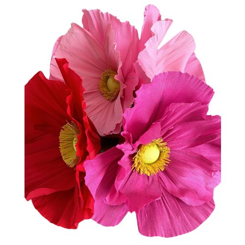 Mega klaprozen set 4st