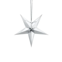 Kerstster zilver (set 9st)