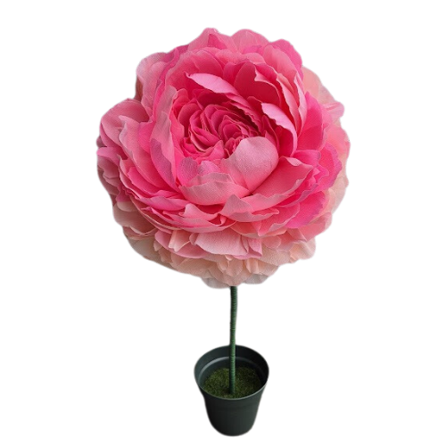 Mega roos XL Roze