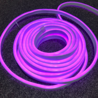 Neon verlichting roze 10 m