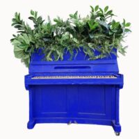 Blauwe Piano