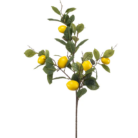 Citroen takken (95cm)