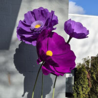 Mega Bloemen Set Purple Rain