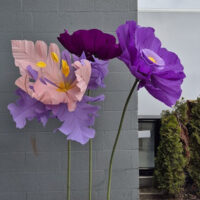 Mega bloemen set paars