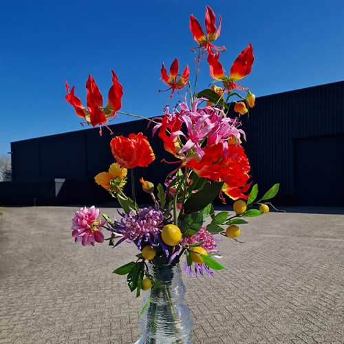 Zijden bloemen XL crystal clear
