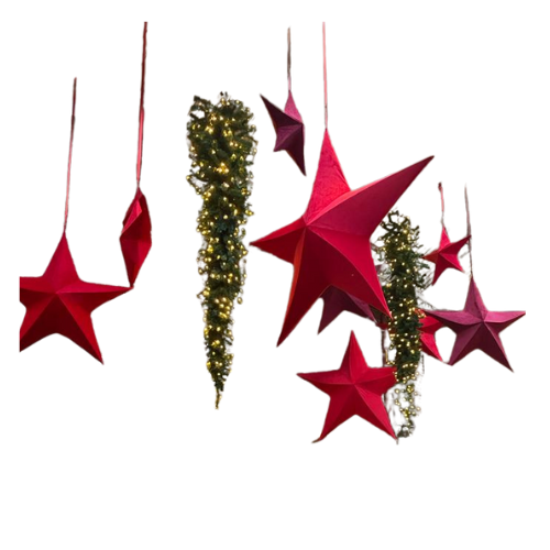 Pakketverhuur Kerststerren rood