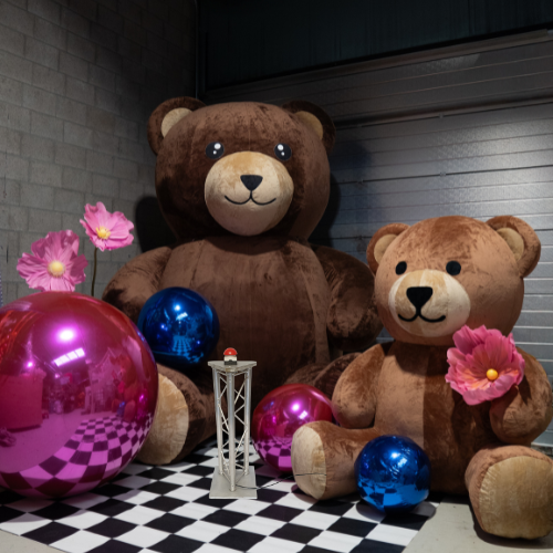 Babyshower Decoratie Huren | Gender Reveal Party Set Verhuur