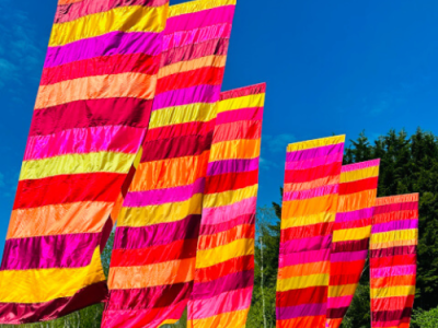 Festival vlaggen set A pride Zebra | Eventbuddies